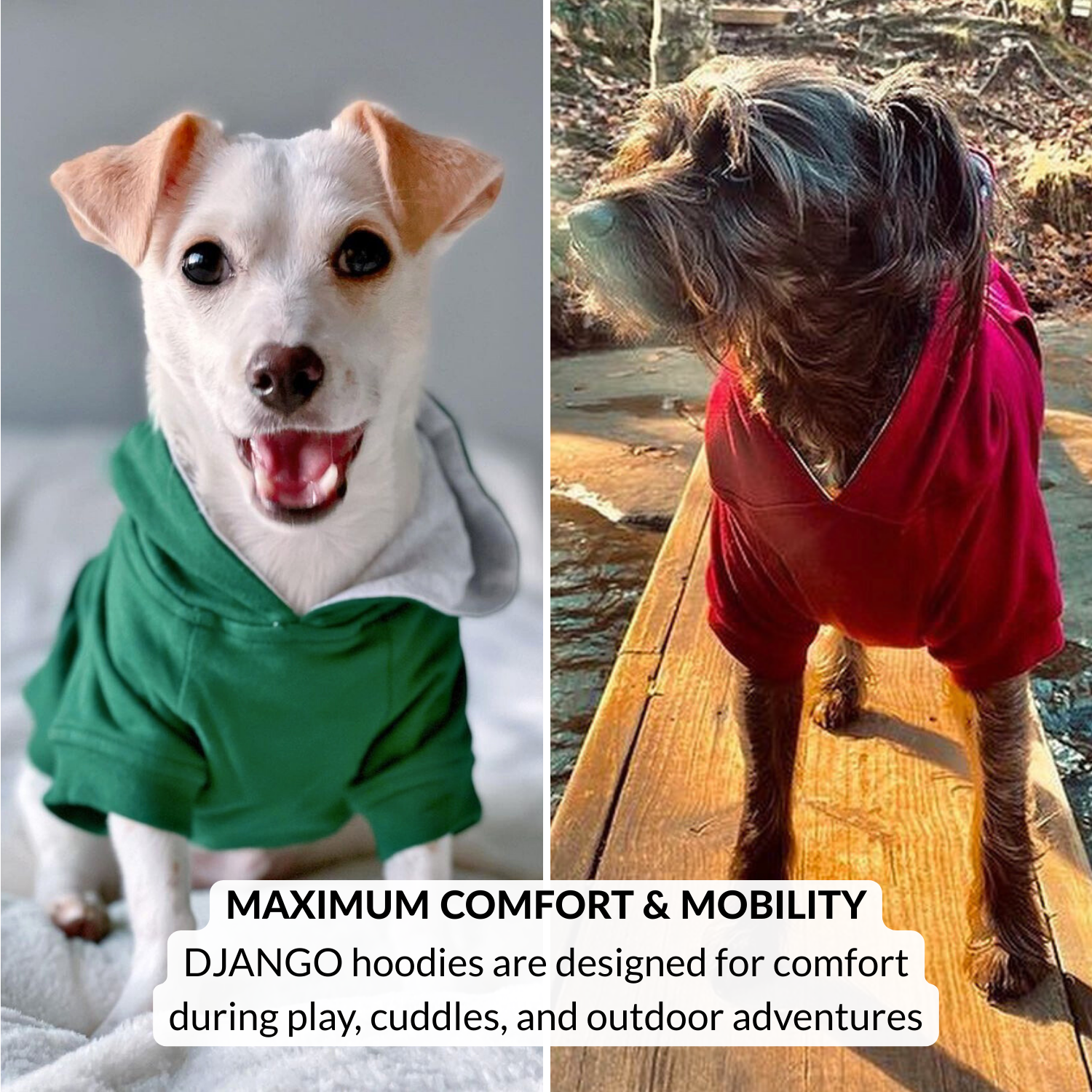 Forest green hoodie for dachshunds and small dogs, lightweight lined hood for chilly days