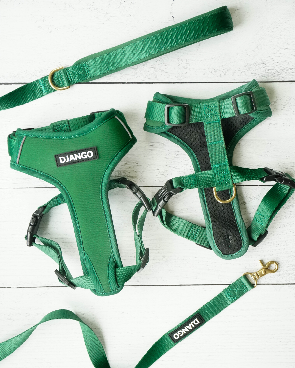 Pair your DJANGO Adventure Cat Harness with the matching Adventure Leash. Small and standard cat leash sizes are available for cats of all sizes - djangobrand.com