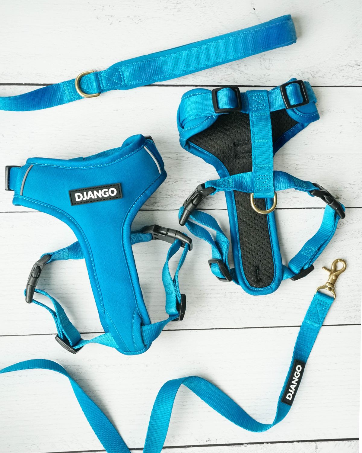 Pair your DJANGO Adventure Cat Harness with the matching Adventure Leash. Small and standard cat leash sizes are available for cats of all sizes - djangobrand.com