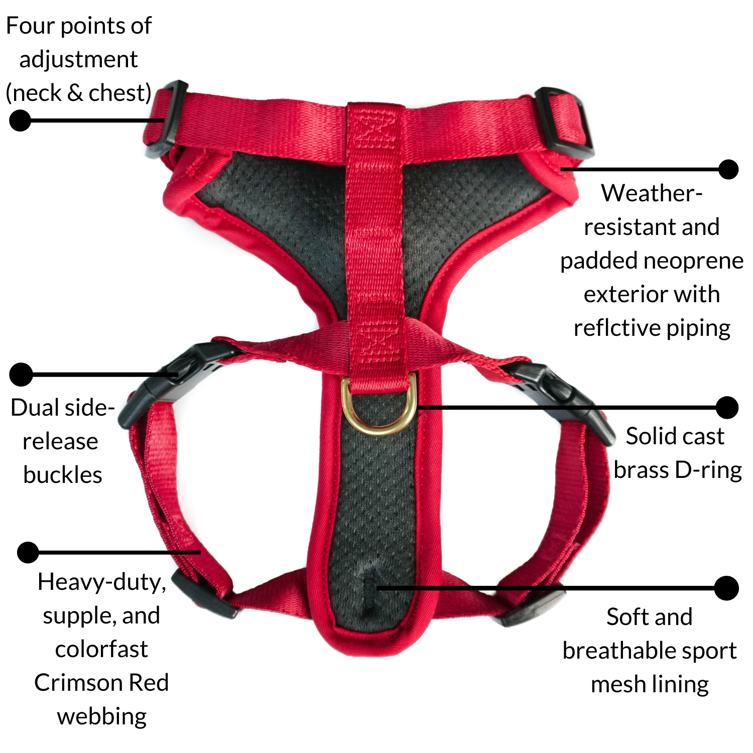 DJANGO's Adventure Cat Harness features a water-resistant and durable neoprene exterior, a lightweight and padded cat harness body, super soft custom webbing for max comfort, reflective piping for low light adventures, secure side release buckles for easy on and off, and a beautiful solid cast brass D-ring - djangobrand.com