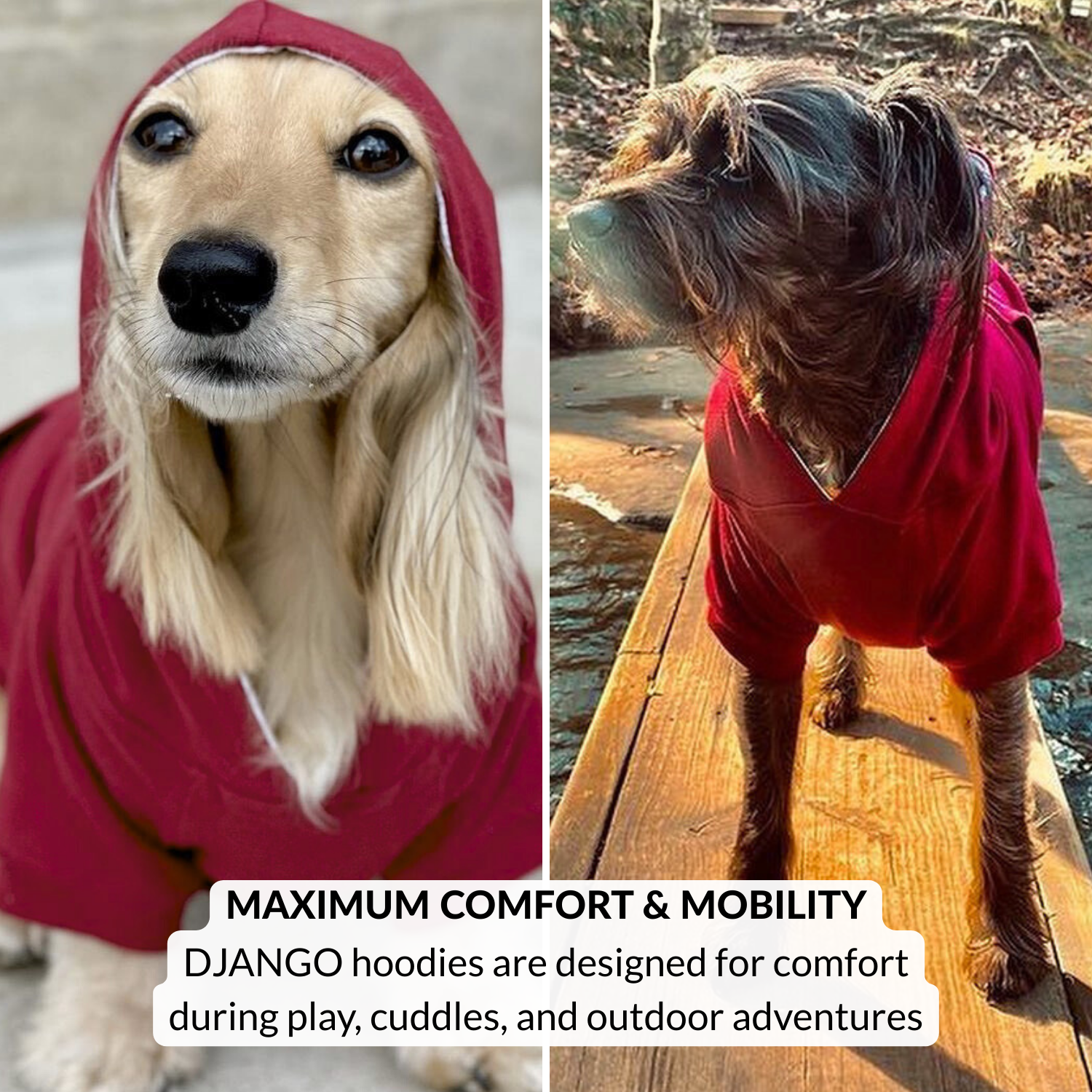 Two dogs wearing red hoodies with text about Django dog hoodies for outdoor adventures on a wooden dock.