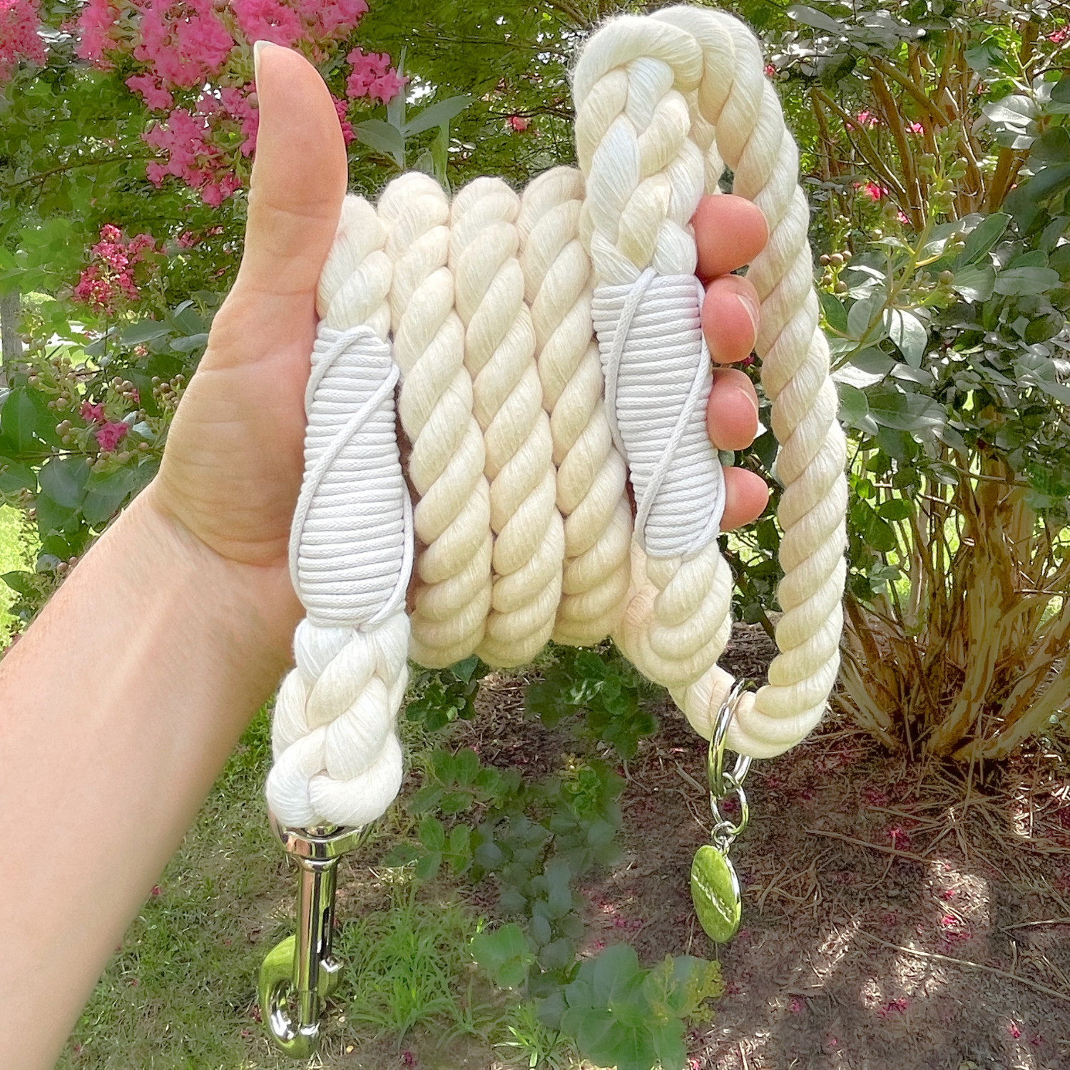 #color_ivory