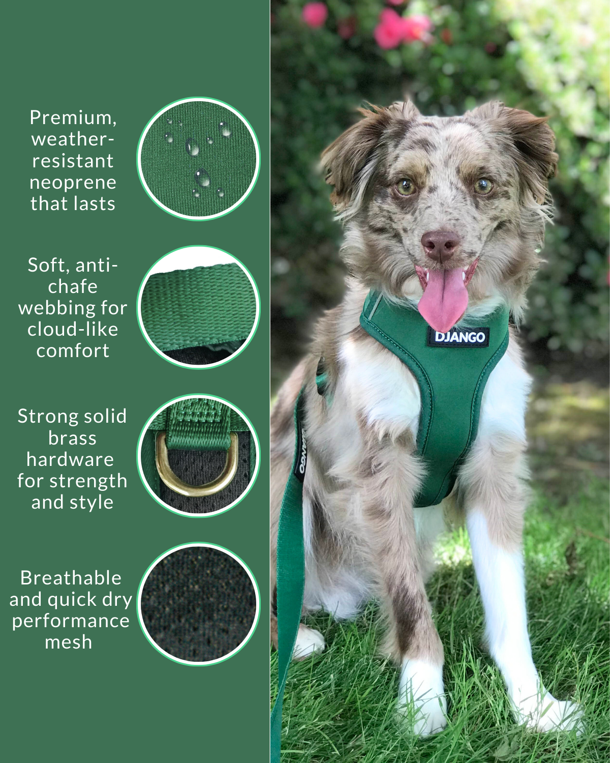 Made with premium neoprene, heavy-duty webbing, and solid brass hardware, this harness is built to last while providing comfort and style for your dog.

