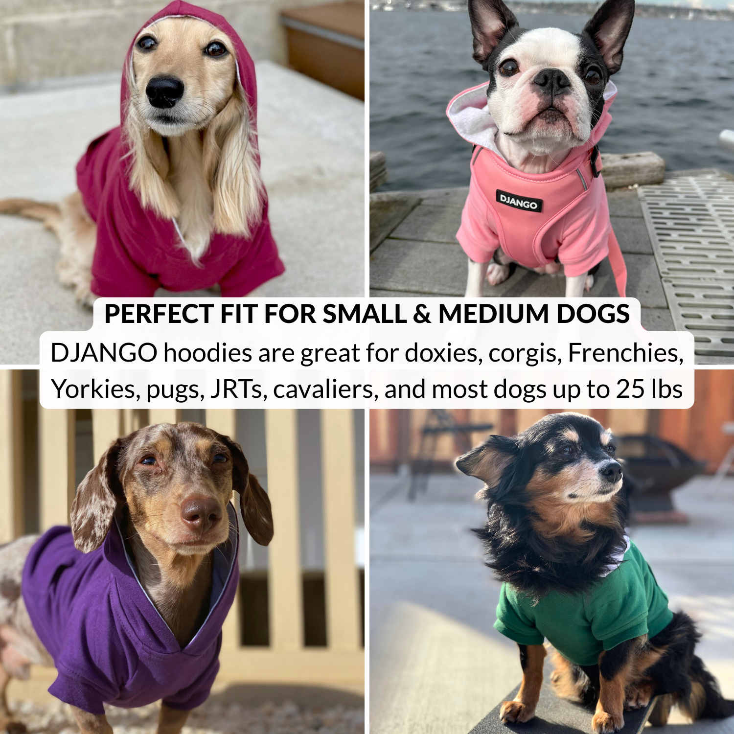 Green hoodie for small dogs, stylish sweatshirt with elastic waistband for snug fit