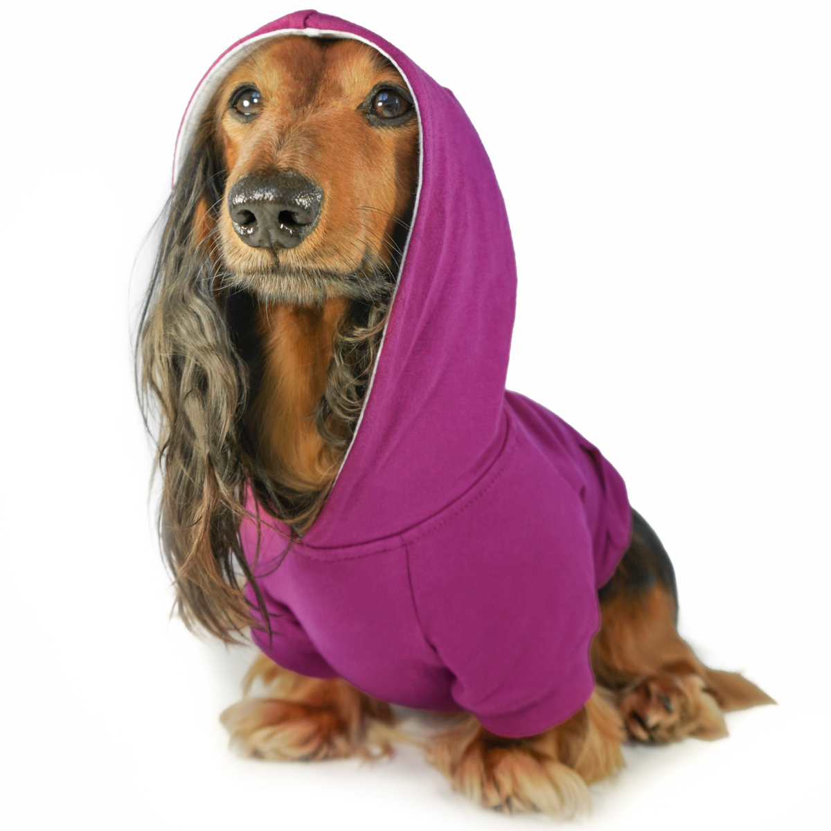 Fuchsia Purple Dog Hoodie