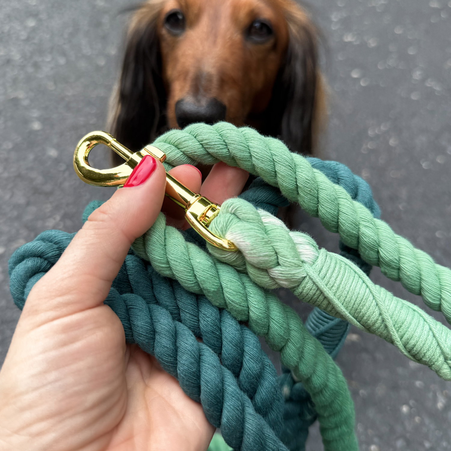 #color_Forest Green Ombré