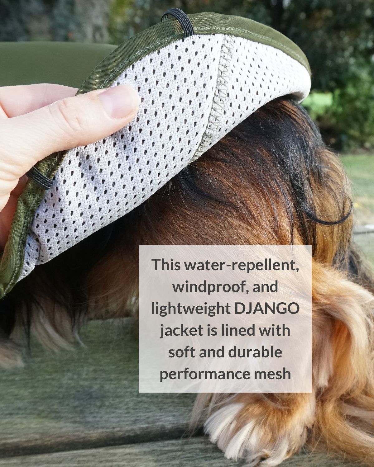 The DJANGO City Slicker raincoat in Kombu Green provides the perfect blend of waterproof protection and lightweight comfort for small dogs like dachshunds, poodles, and terriers. This premium dog jacket offers superior durability and style, making it the ideal raincoat for small breeds in wet conditions.