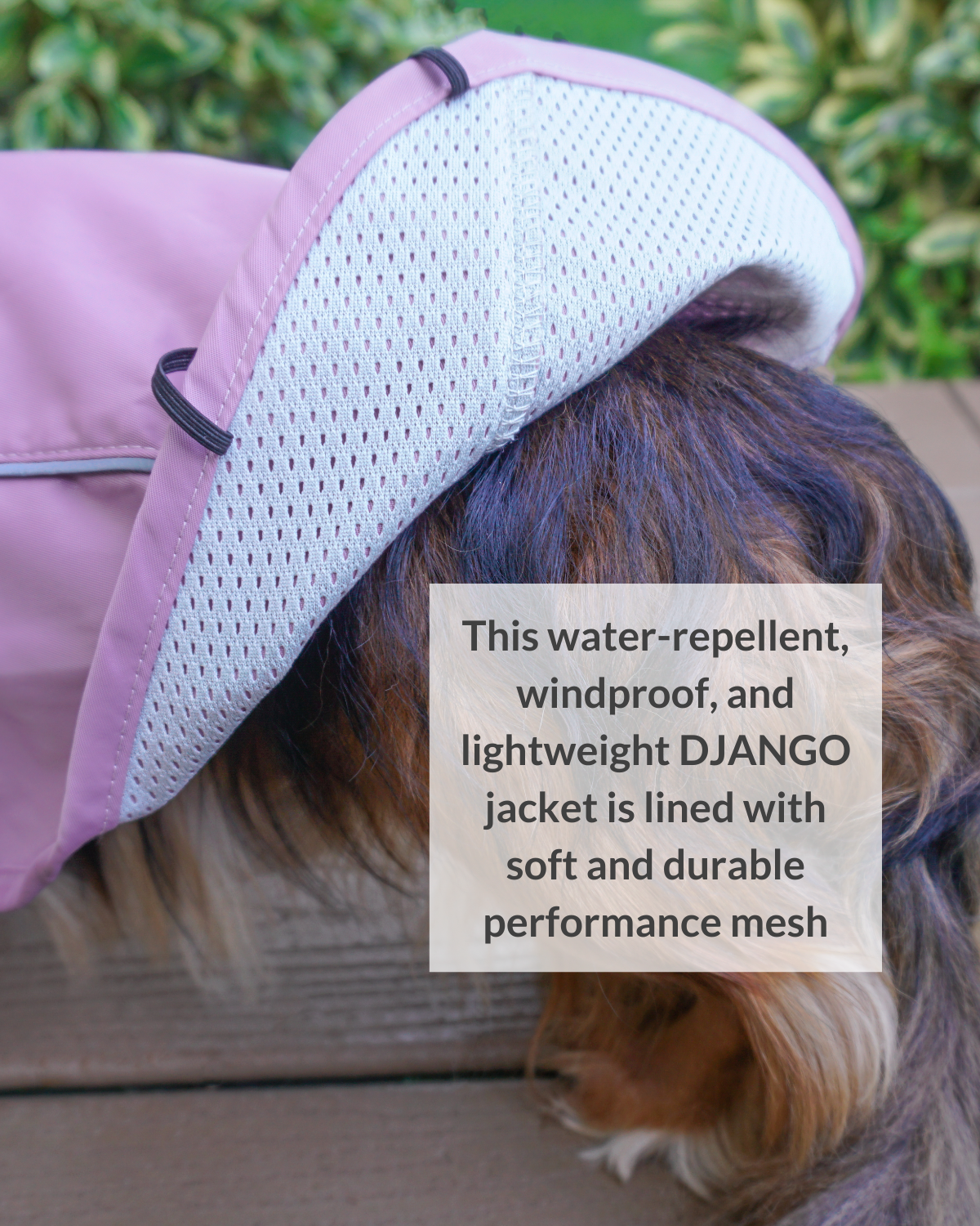 The DJANGO City Slicker in Lilac Purple is a water-repellent raincoat designed to fit small and medium breeds like dachshunds, poodles, and terriers. Its lightweight design provides maximum comfort and rain protection, making it perfect for rainy walks.