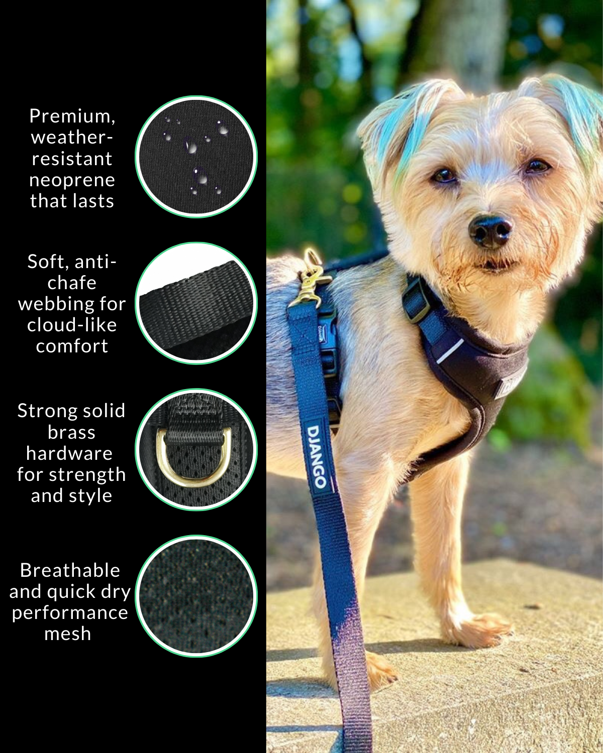 The deep-body design of this DJANGO no chafe dog harness prevents rubbing and chafing, while the secure fit keeps strong pullers in control