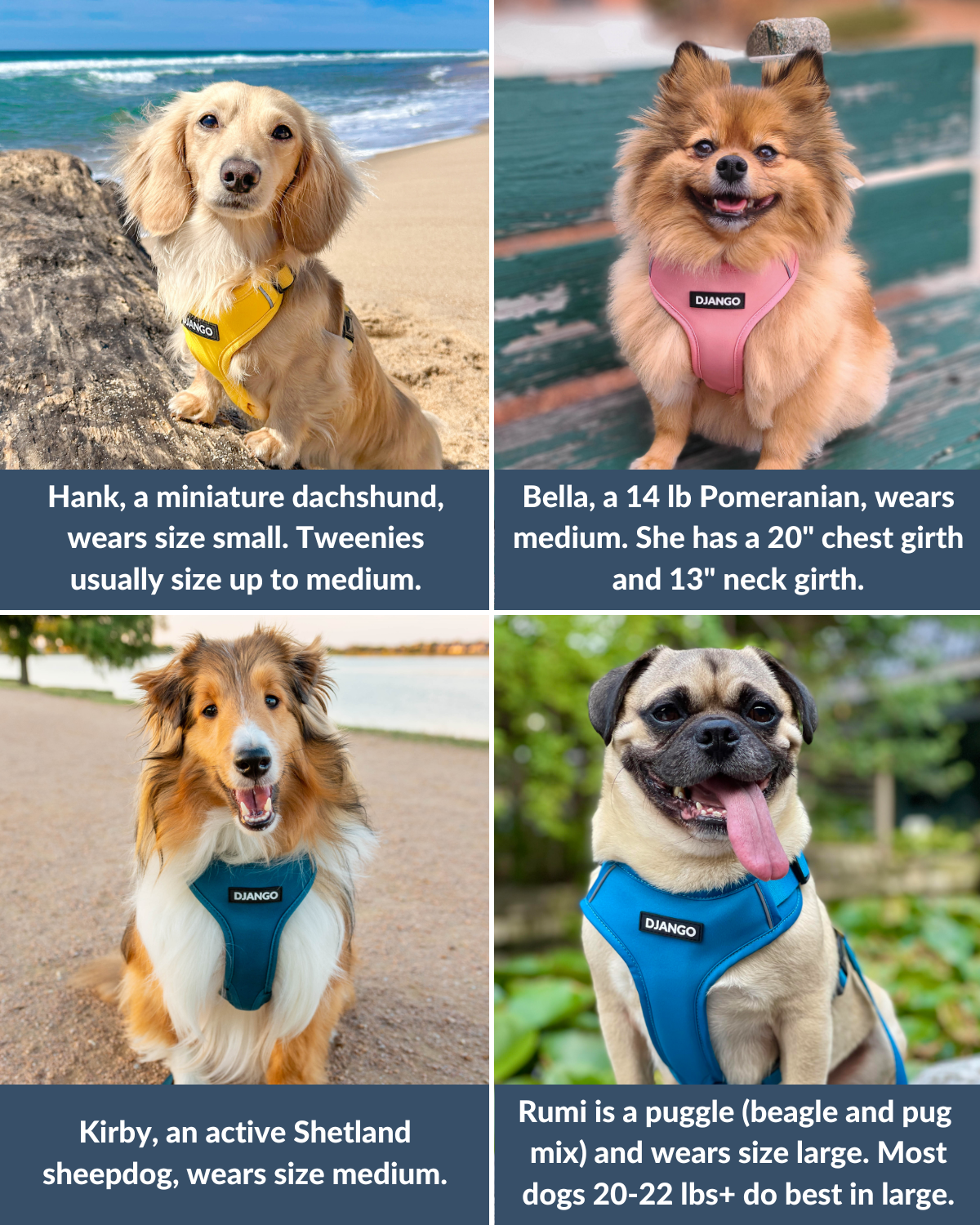 This Plum Purple harness is perfect for small and medium dogs, including Dachshunds, Beagles, Cocker Spaniels, Pugs, Shetland Sheepdogs, Pomeranians, and French Bulldogs. With adjustable straps, it ensures a secure, comfortable fit for all breed types up to 30 lbs.