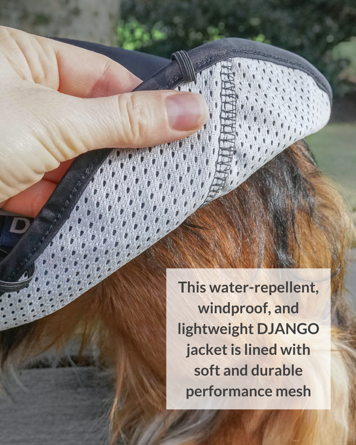 Protect your dog from wet weather with the DJANGO City Slicker Dog Raincoat in Black. This waterproof dog jacket is lightweight and made from premium materials, offering the best protection for dachshunds and small breeds. It’s the ideal raincoat for long dogs, ensuring they stay dry without sacrificing comfort.