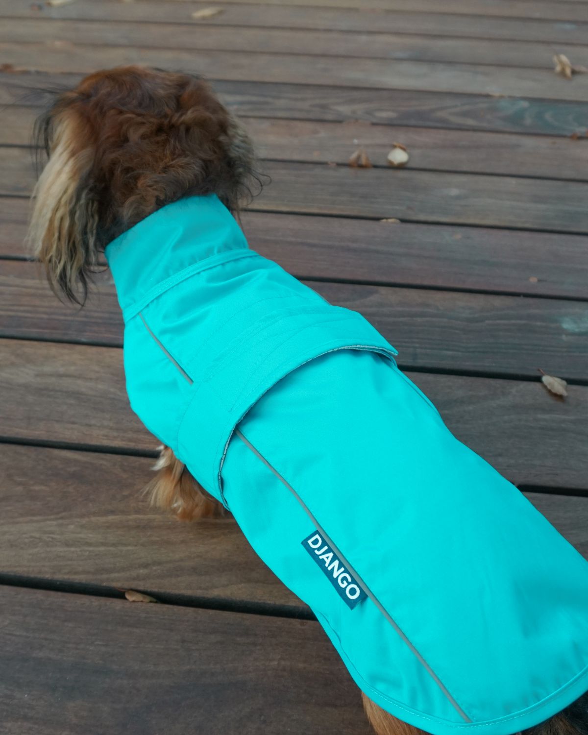Keep your dog dry with the DJANGO City Slicker in Topaz Blue. This premium water-repellent dog jacket is perfect for dachshunds and small breeds, offering superior protection from rain. Its lightweight design ensures your pup stays comfortable during wet weather walks and outdoor adventures.