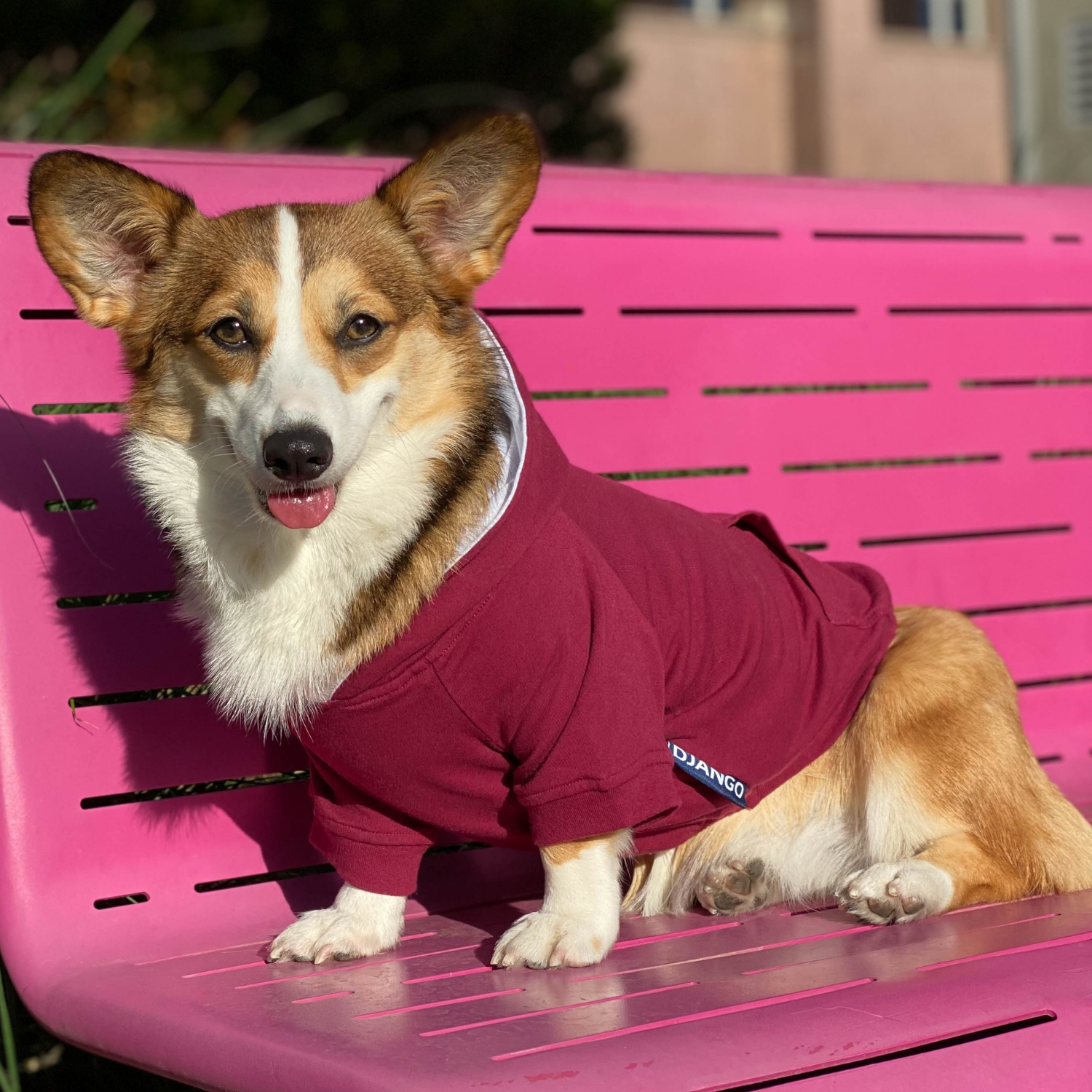 Small dog hoodie in red with stretchy waistband and harness portal, perfect for winter puppy walks.