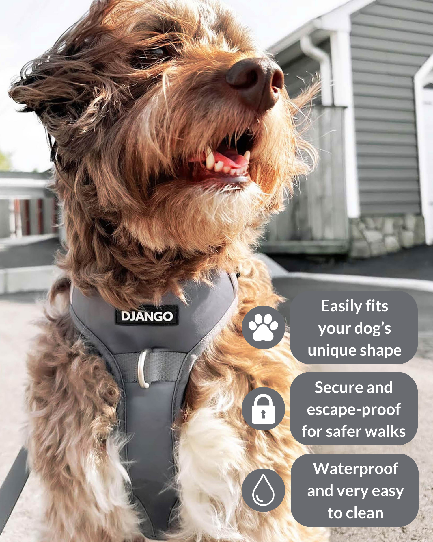 No pull dog harness with reflective trim – Poppy Seed Gray Tahoe Harness enhances visibility while ensuring comfort and security on walks and hikes