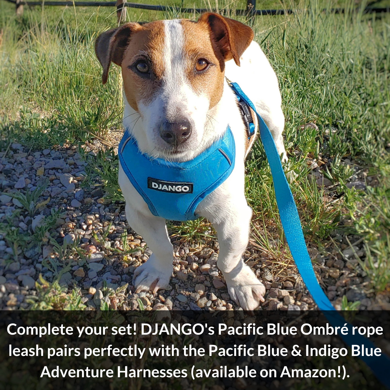 #color_pacific blue ombré