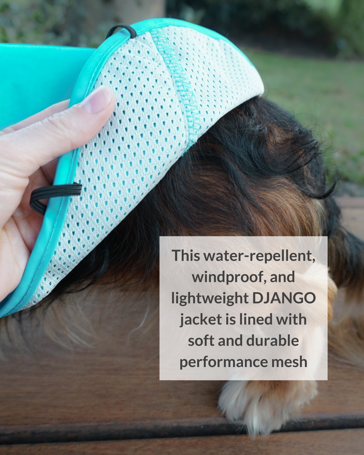 Protect your pup from wet weather with the DJANGO City Slicker in Topaz Blue. This water-repellent raincoat is designed for small dogs and dachshunds, offering a lightweight, premium jacket that keeps your dog dry and stylish. Ideal for rainy day walks or outdoor adventures in all conditions.