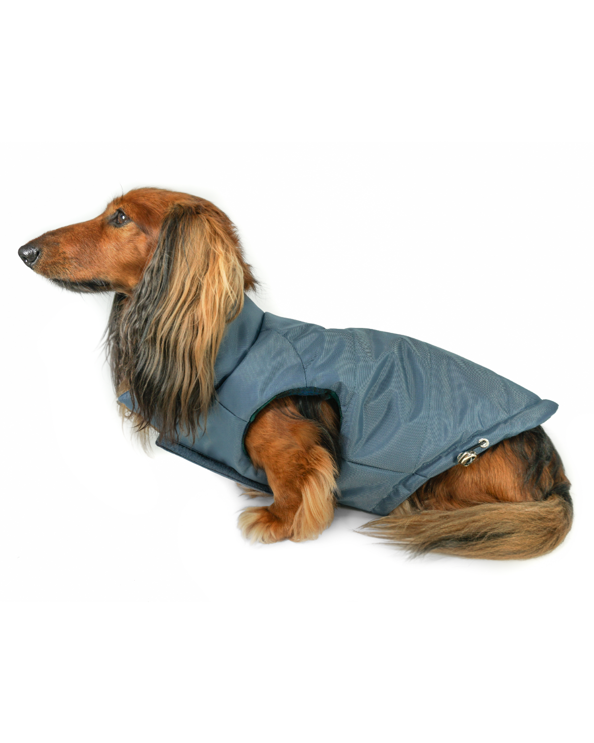 Premium Puffer Dog Coat: DJANGO's Reversible Puffer Dog Coat is a high-quality winter jacket designed to keep corgis, dachshunds, and all small to medium-sized dogs warm and stylish in cold weather.