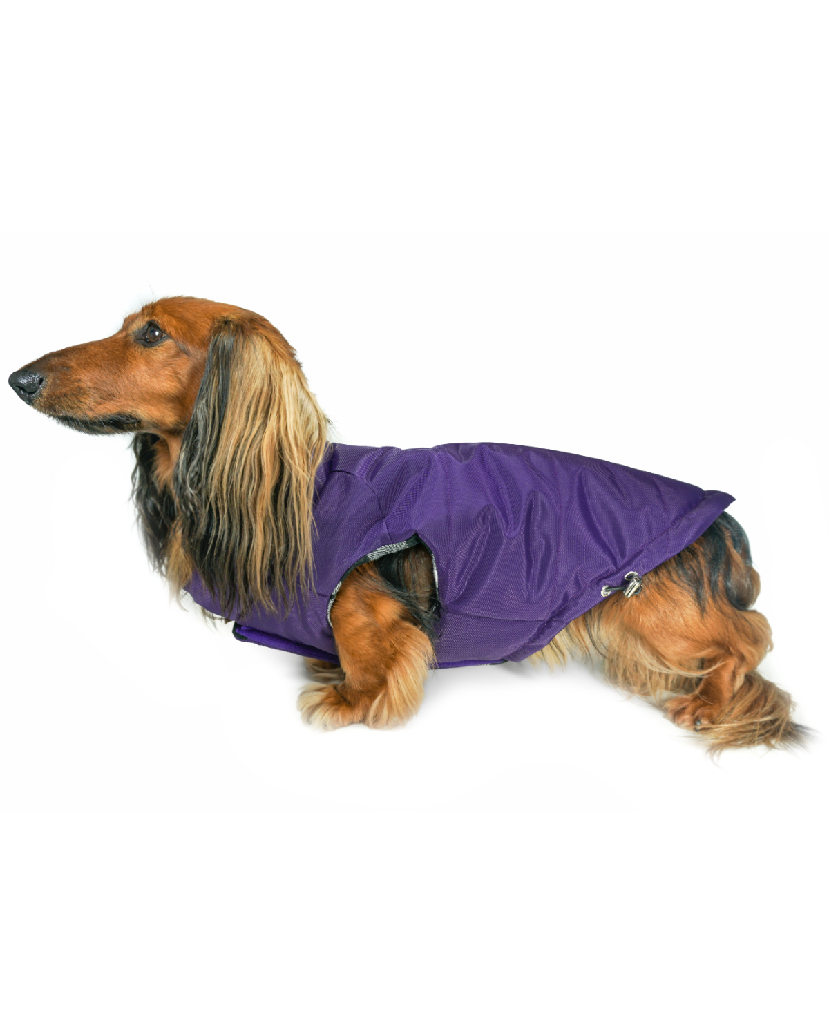 Premium Puffer Dog Coat Purple: DJANGO's Reversible Puffer Dog Coat is the ultimate winter jacket for small dogs like corgis, dachshunds, French bulldogs, and chihuahuas, offering warmth, style, and weather protection.