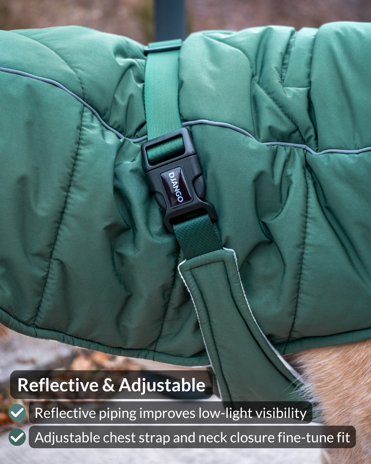 Close-up of a green padded pet coat or blanket with reflective piping and an adjustable chest strap, shown on a dog with a text overlay describing features.