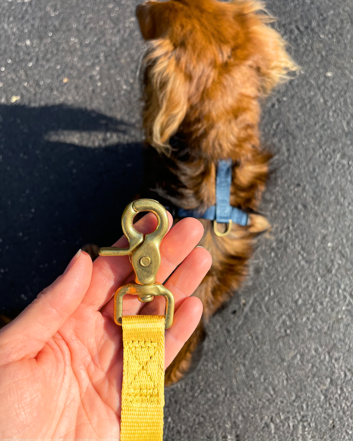 Adjustable Hands-Free Dog Leash – 6.5ft Crossbody, Waist-Worn, Adventure-Ready