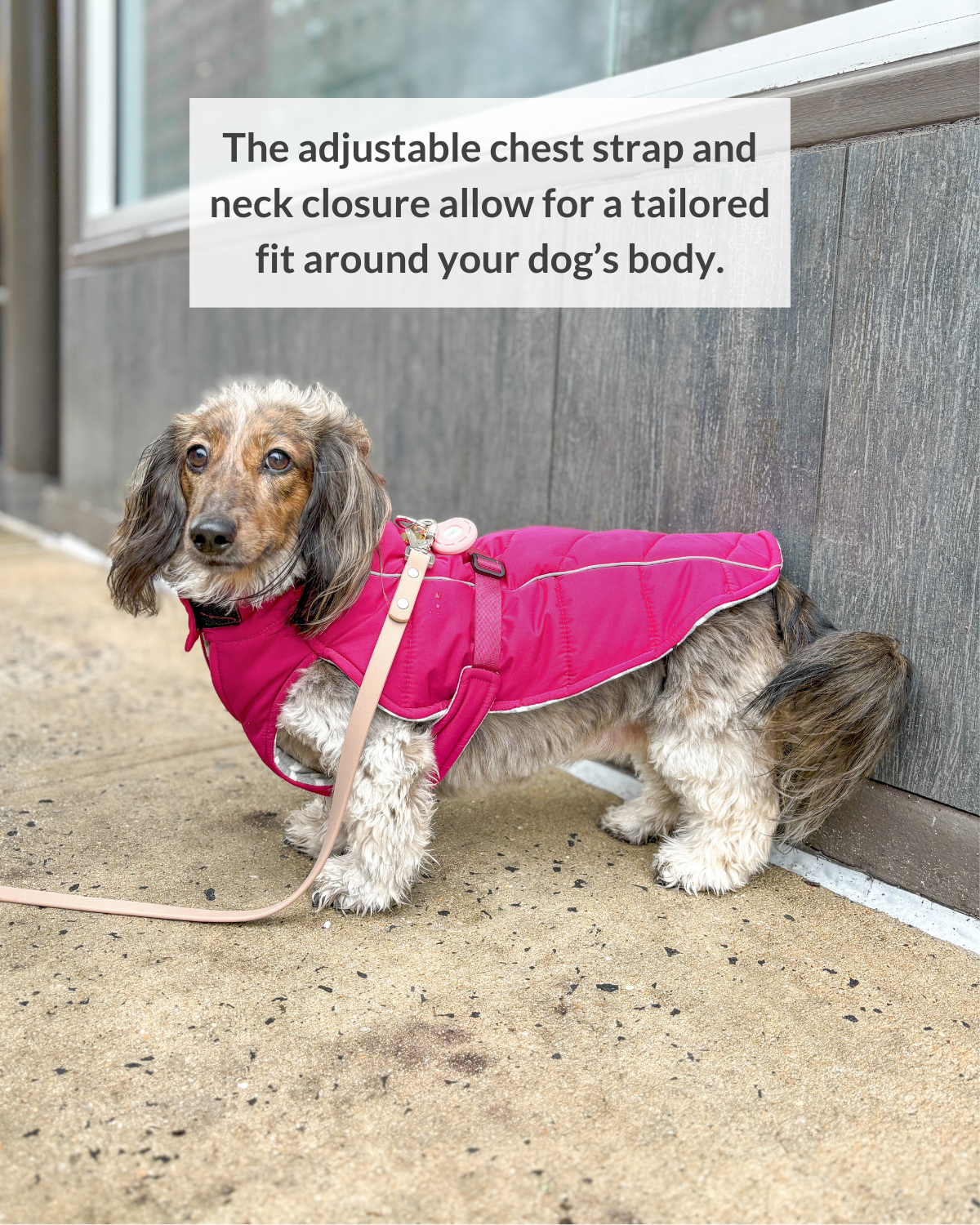 This adjustable winter dog coat and warm insulated coat for dogs has an adjustable chest strap which allows for a tailored fit around your dog's body. The puffer dog coat's layer of insulation provides ample warmth and protection for thin-haired dogs that need coats during the winter months.