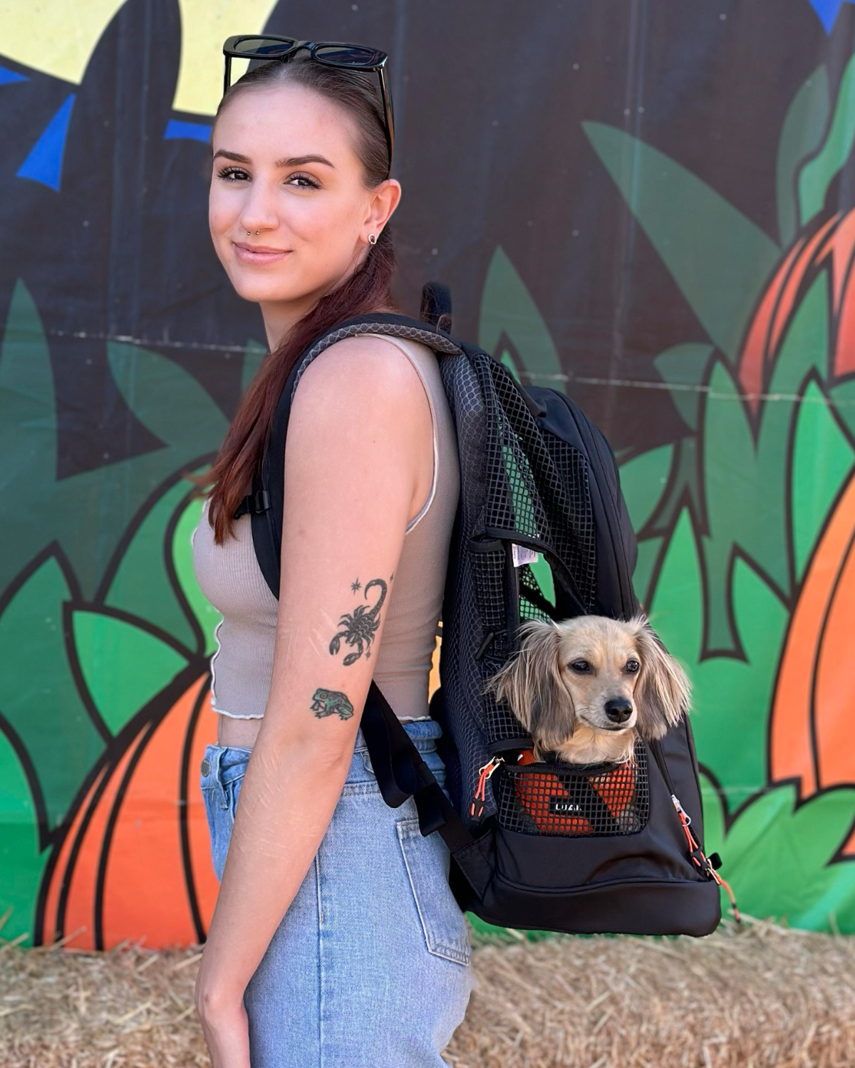 DjangoPack™ Dog Carrier Backpack