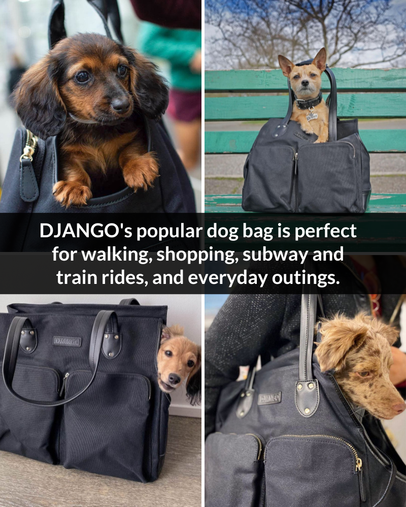 This dog tote bag is the best for all small dog breeds and was engineered for every type of outing and adventure