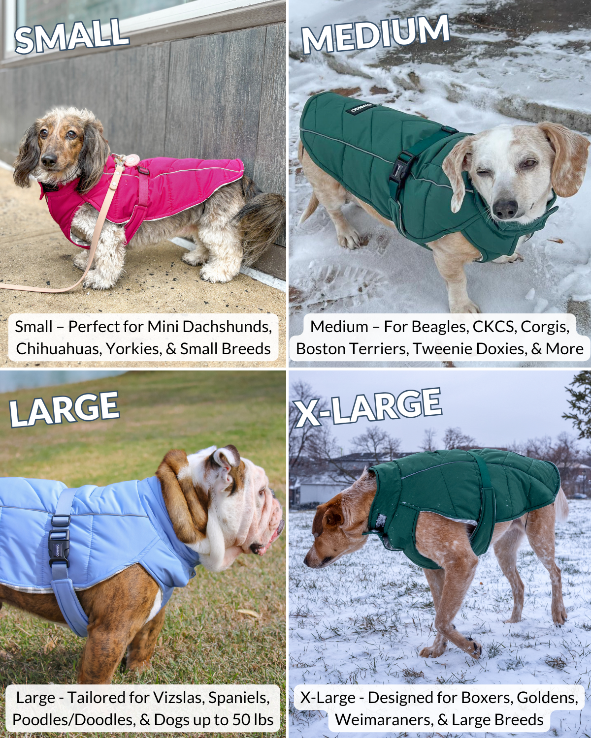 Dog coats in small, medium, large, and x-large sizes with corresponding breeds listed.