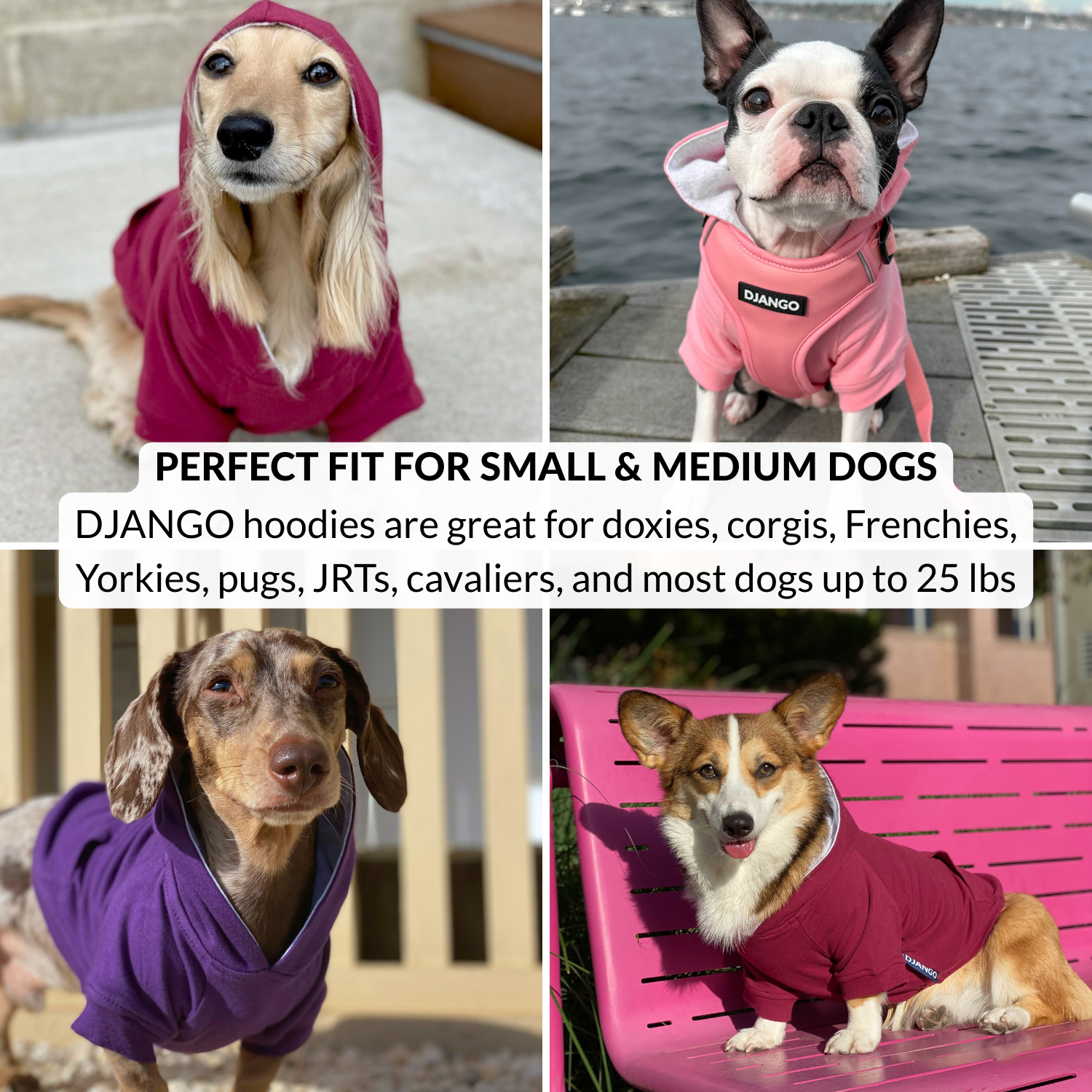 Collage of dogs wearing pink, purple, and red hoodies with promotional text about Django hoodies for small and medium dogs.
