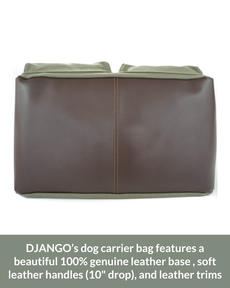 best dog carrier bag leather