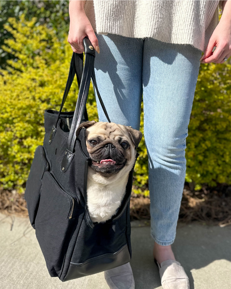 Size large is the best dog carrier bag for pugs. Shop this pet travel tote large for dogs 15-25 lbs