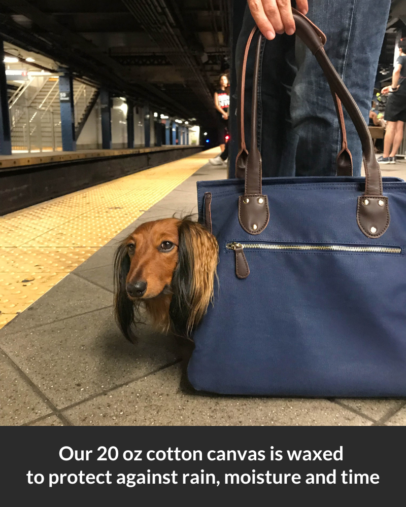 This is the best dog carrier bag for subway rides and the best pet tote carrier for your small dog.