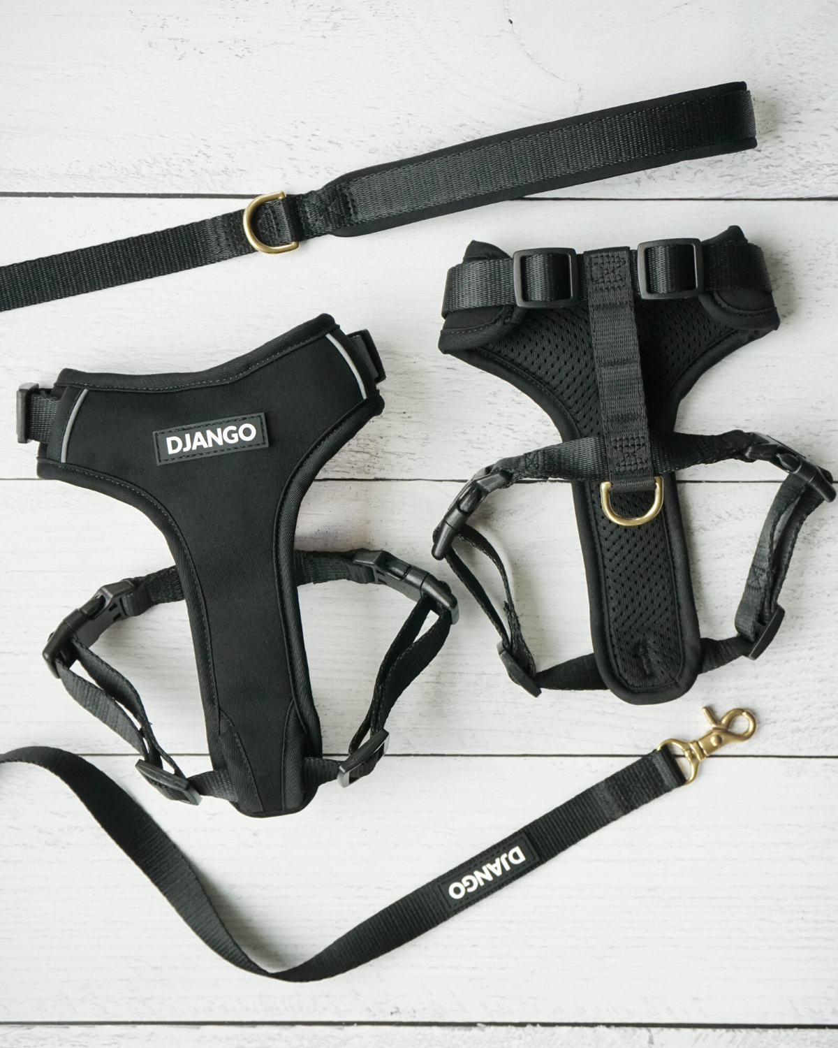 Black DJANGO Adventure Cat Harness shown with leash, adjustable straps, and solid brass hardware.