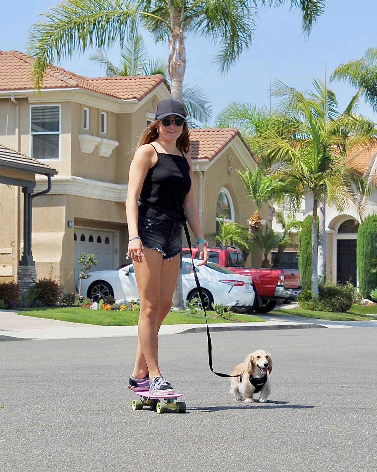 dog leash for stroller Adjustable Hands-Free Dog Leash, 6.5 ft