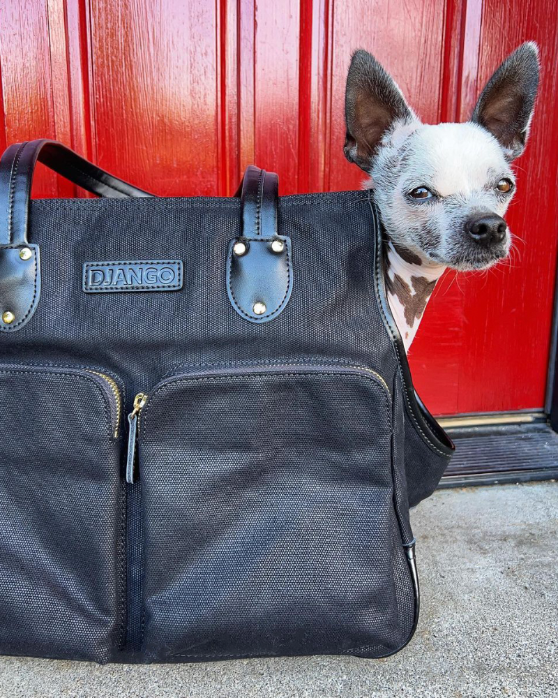 This is the best dog carrier bag for Chihuahuas and other small dog breeds including dachshunds, maltese, shih tzus, mini poodles, and more.