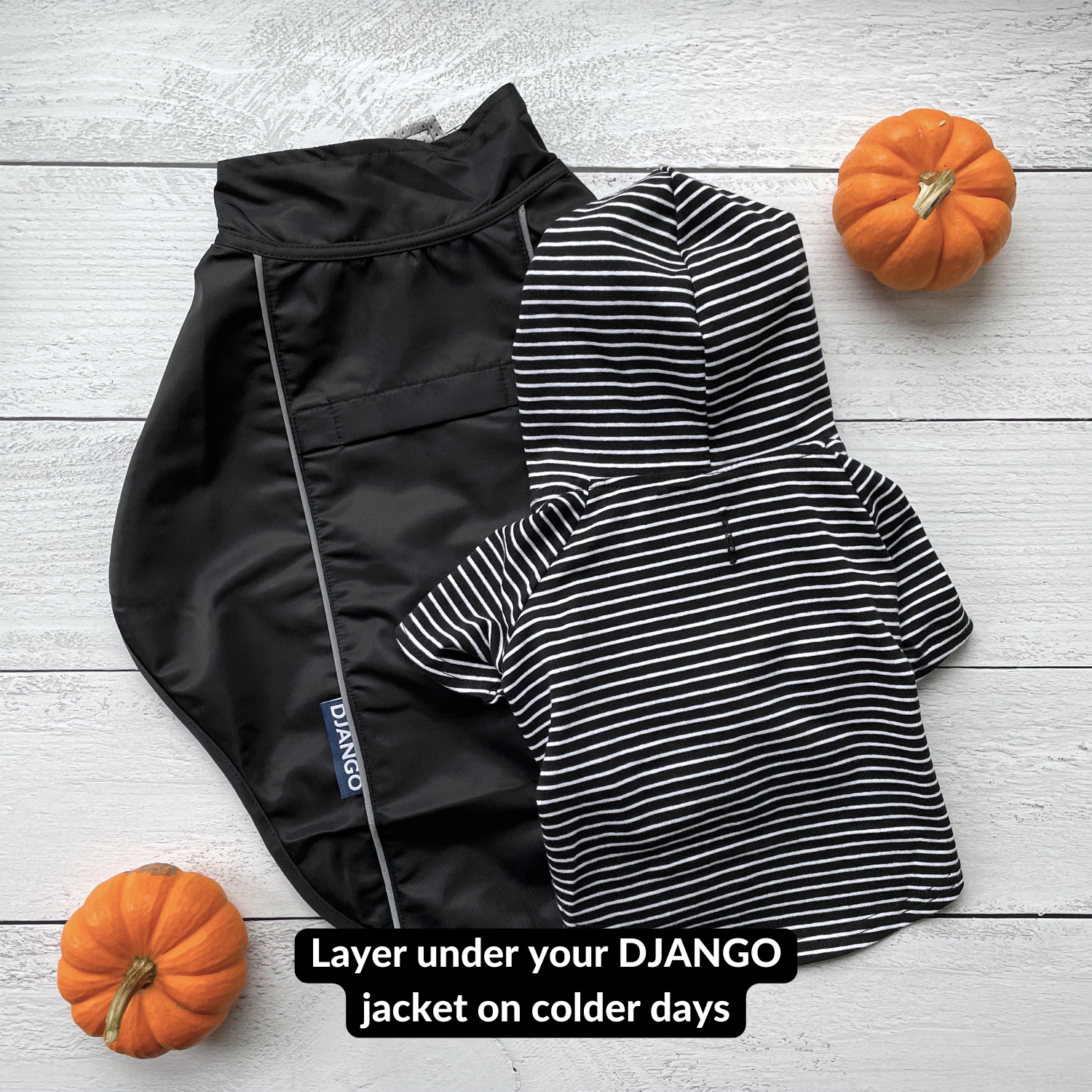 Black Dog Sweater – Comfortable & Easy to Wear | This classic black dog sweater is perfect for layering on cooler days. Soft, lightweight fabric ensures a snug but comfy fit.