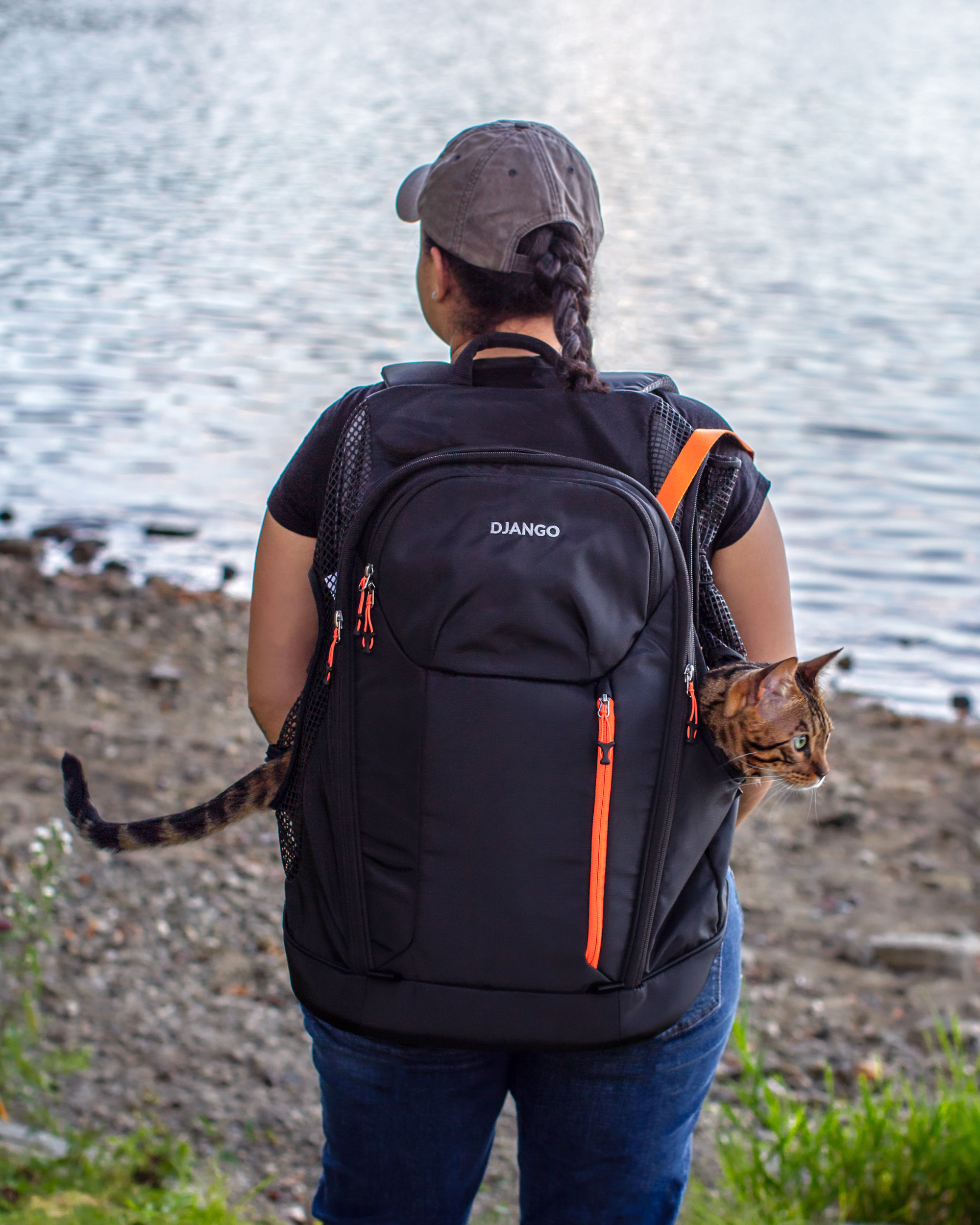 Bengal cat peeking out of a premium pet  carrier backpack while hiking near the water, adventure pet carrier for cats and dogs