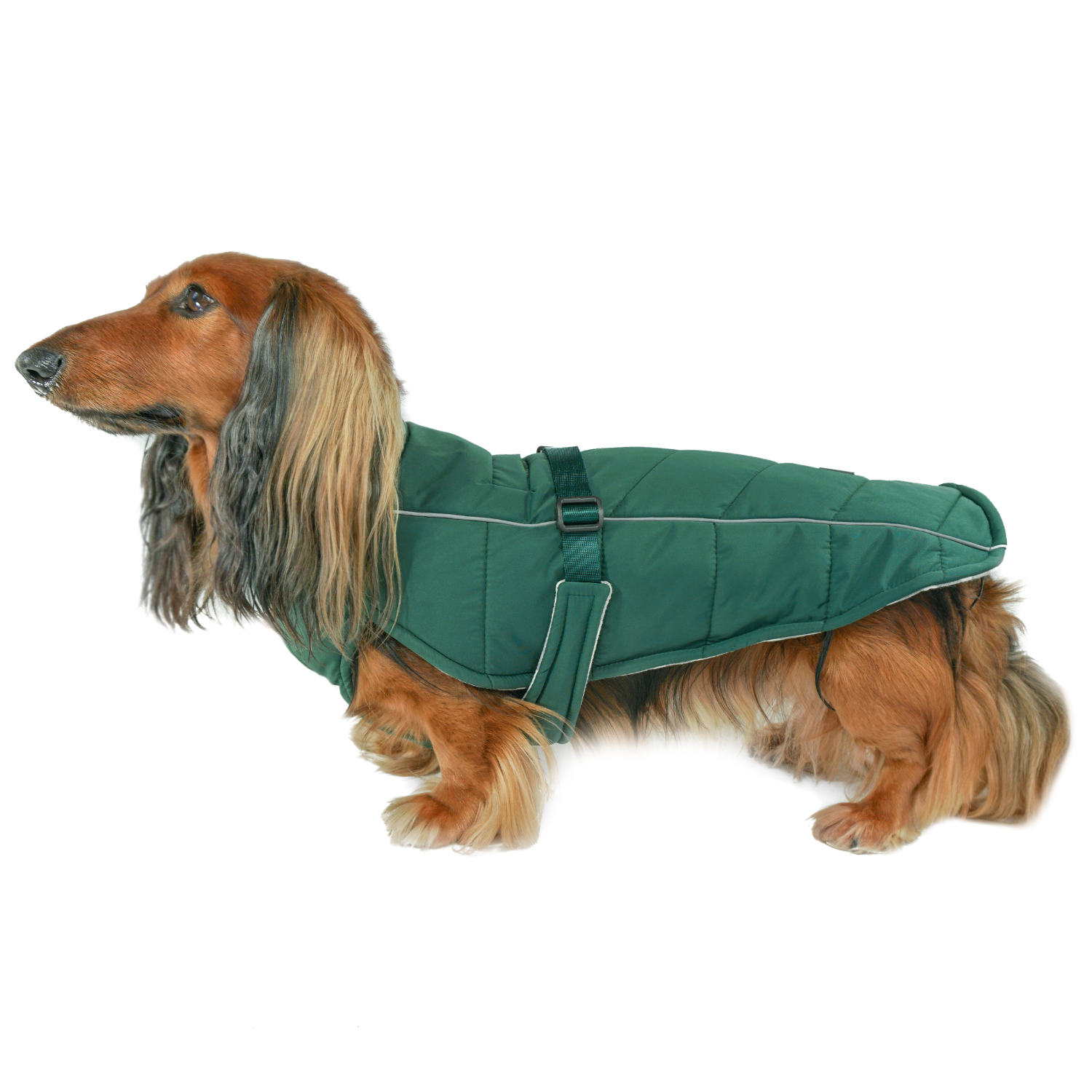 comfortable adjustable reflective winter coat for dogs insulated jacket for puppy senior dog snowproof waterproof lafayette green