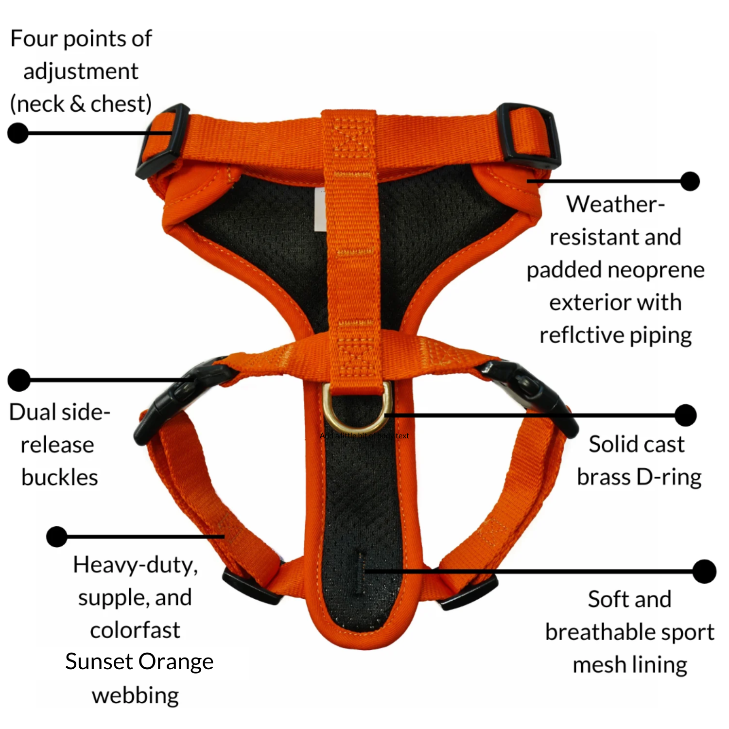 DJANGO's Adventure Cat Harness features a water-resistant and durable neoprene exterior, a lightweight and padded cat harness body, super soft custom webbing for max comfort, reflective piping for low light adventures, secure side release buckles for easy on and off, and a beautiful solid cast brass D-ring - djangobrand.com