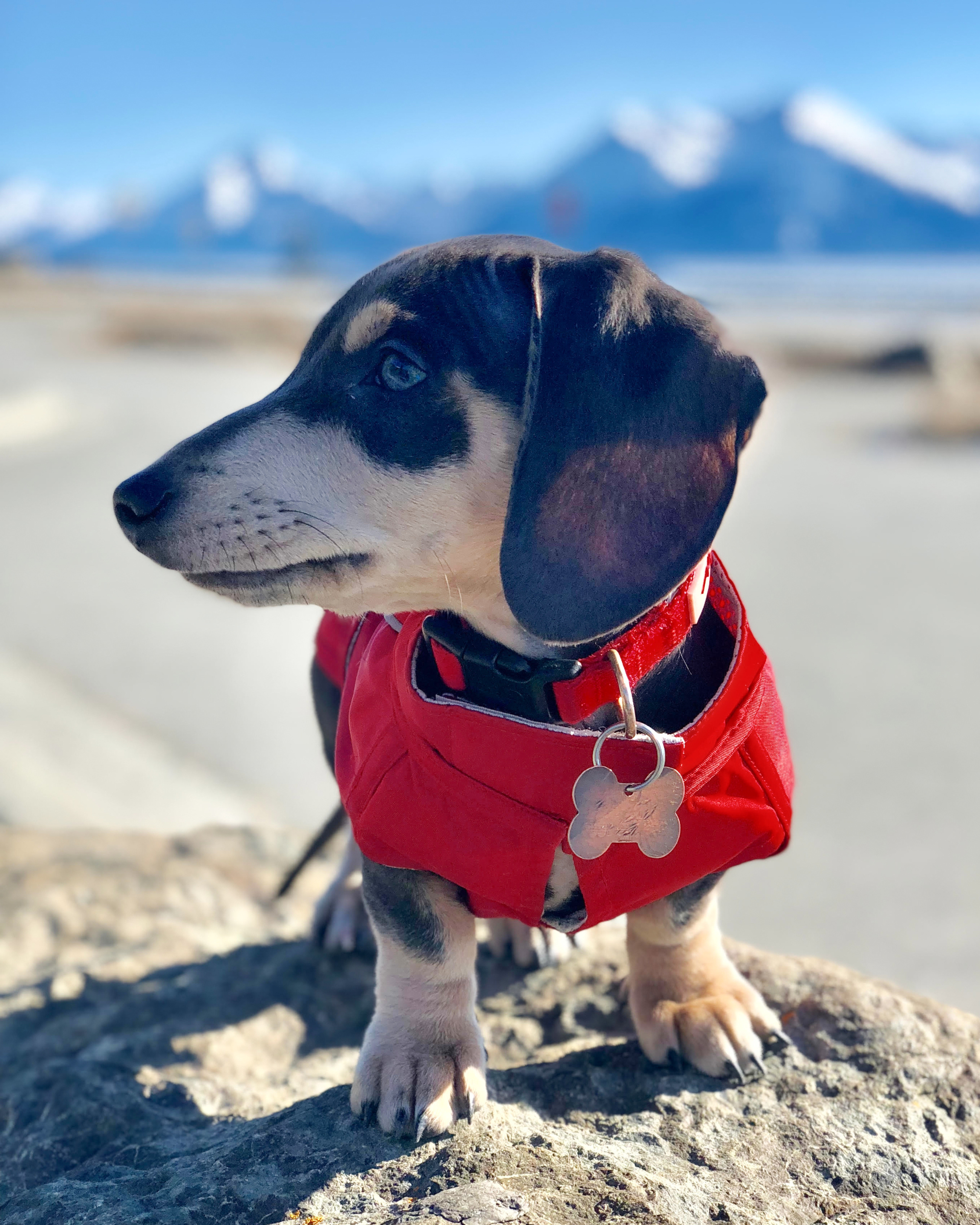 Red slicker top raincoat