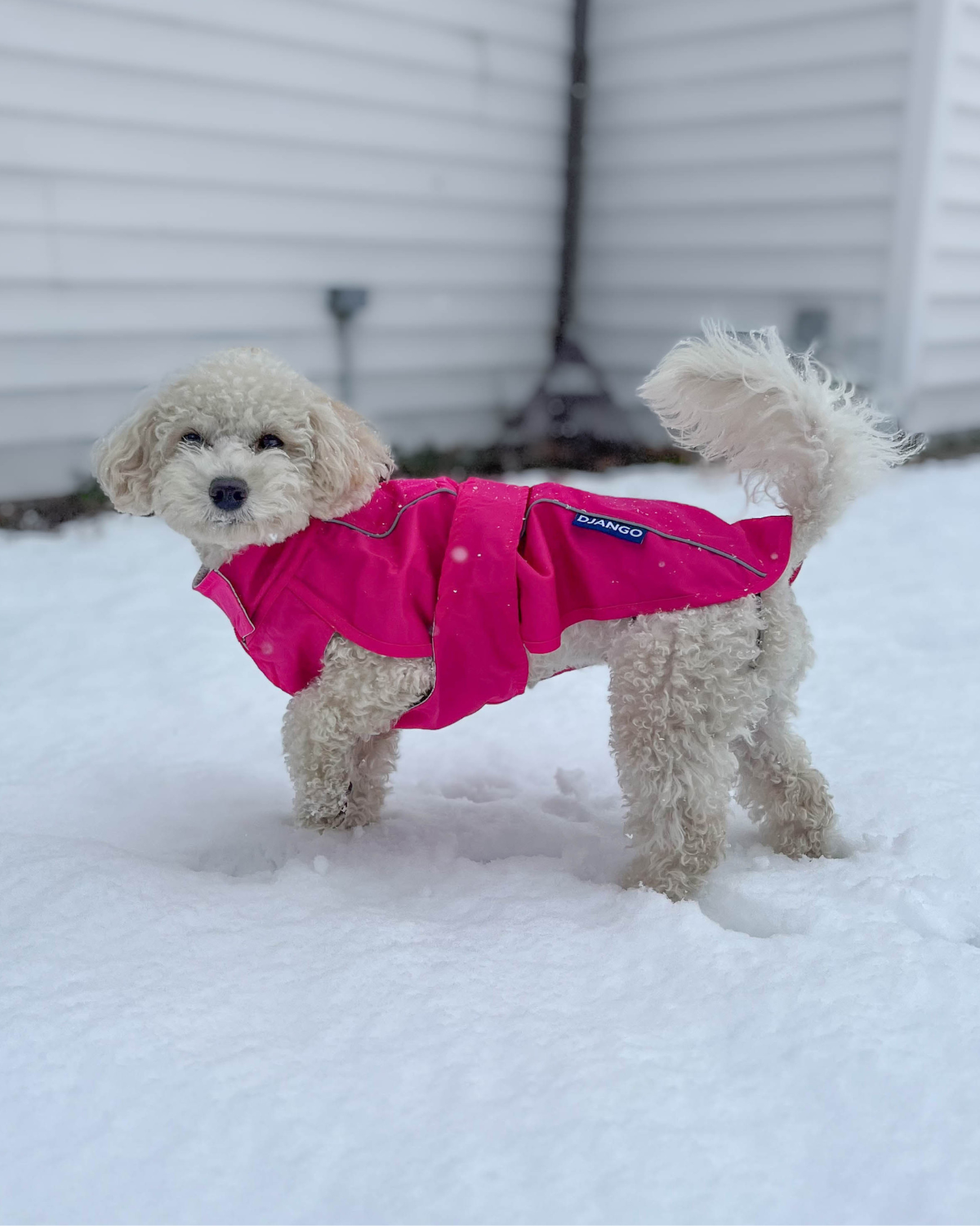 Pink sales dog raincoat