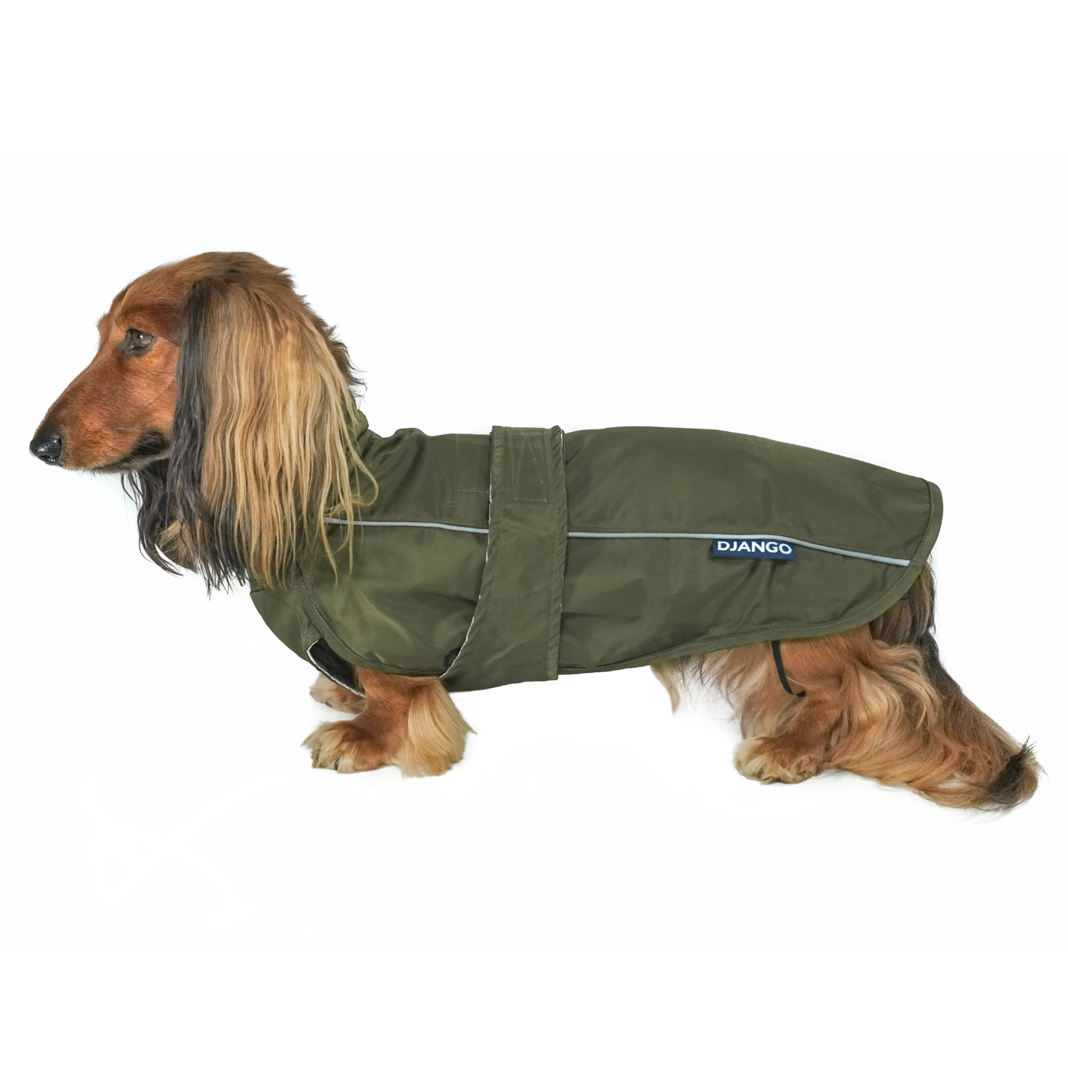Django hot sale dog coats