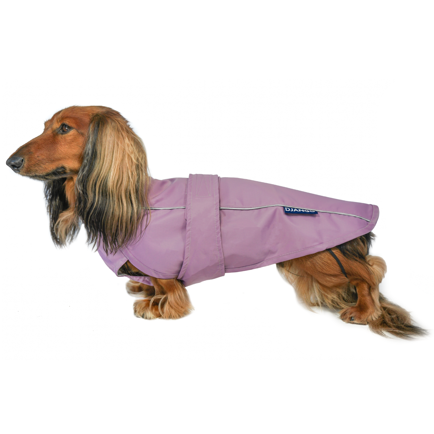 Dog raincoats 2025 near me