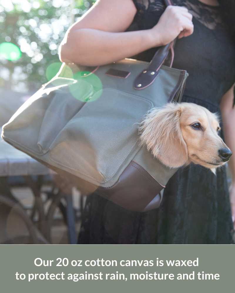 pet travel tote soft-sided for dog moms