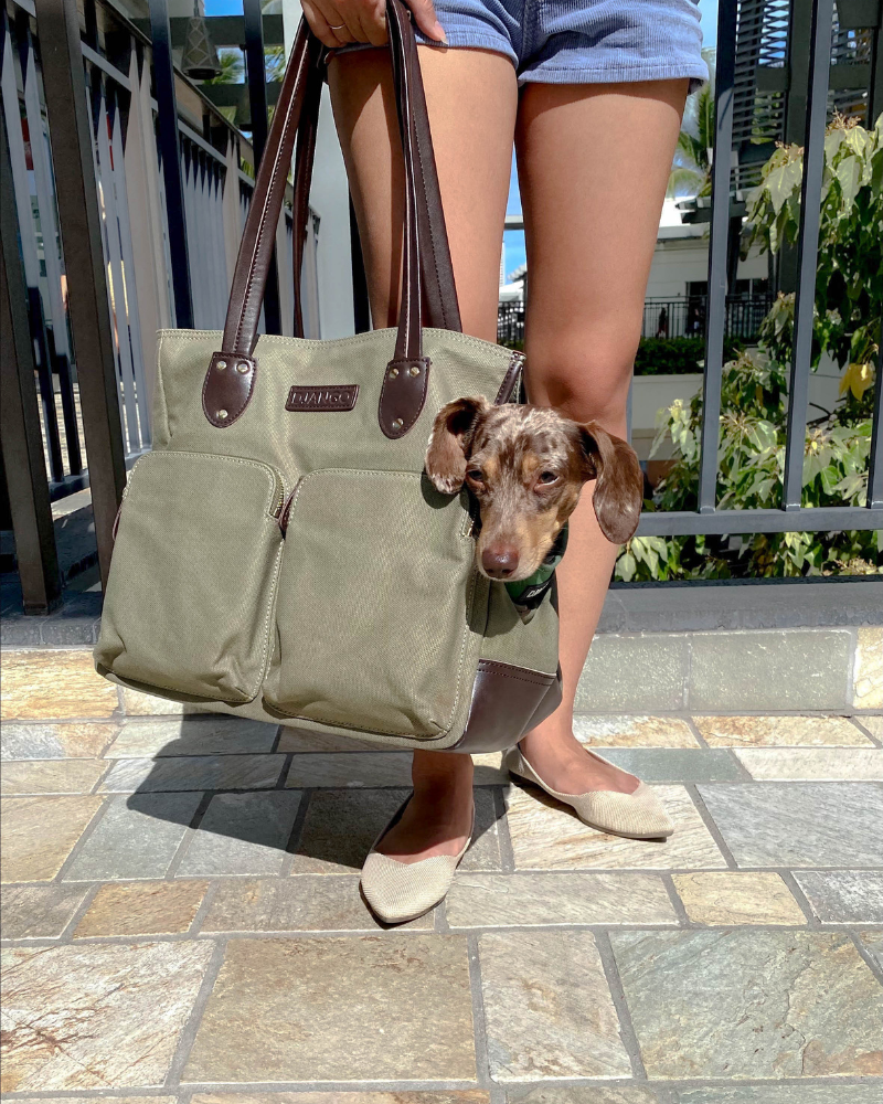 Dog carrier bag dachshund