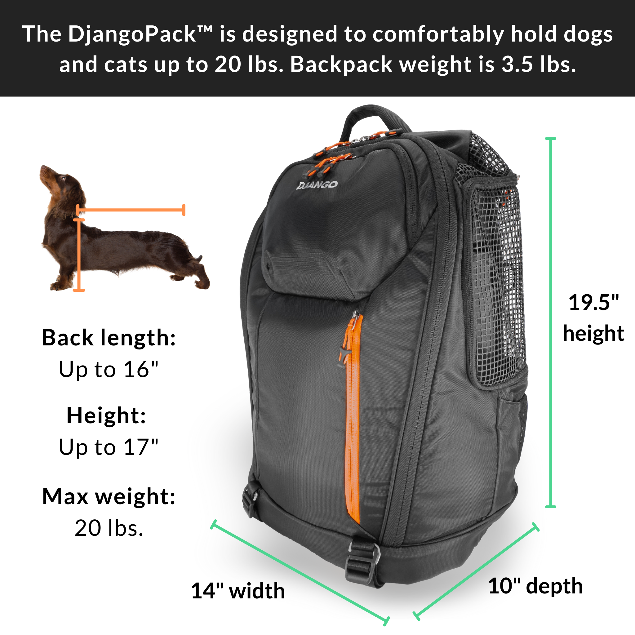 The DjangoPack™ Dog Carrier Backpack is a large pet backpack carrier designed to comfortably hold dogs and cats up to 20 lbs. To ensure correct sizing, please measure your pet's back length and height before ordering. 