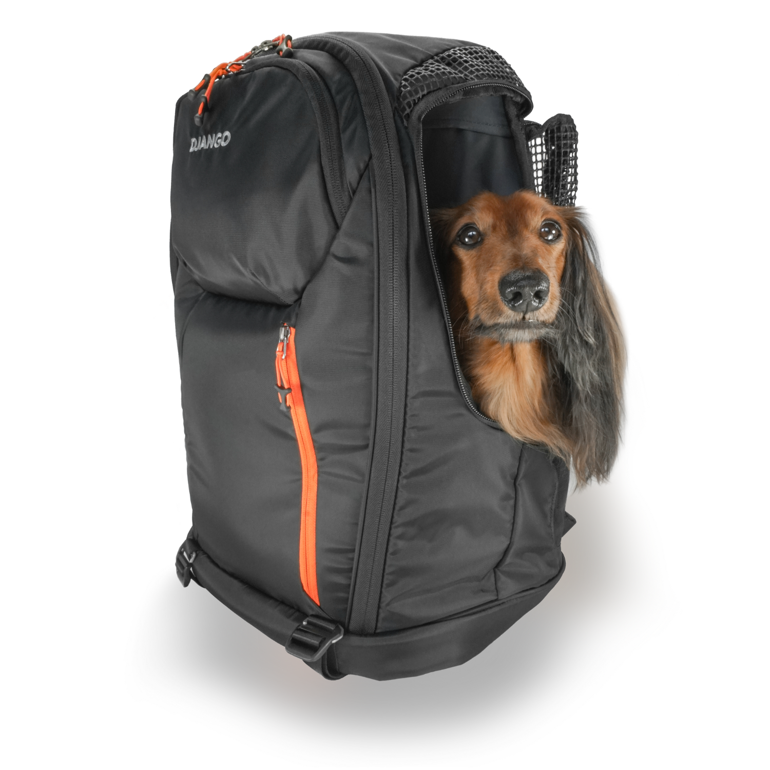 DJANGO dog carrier backpack with horizontal design for dachshunds, corgis, and small dogs with sensitive backs