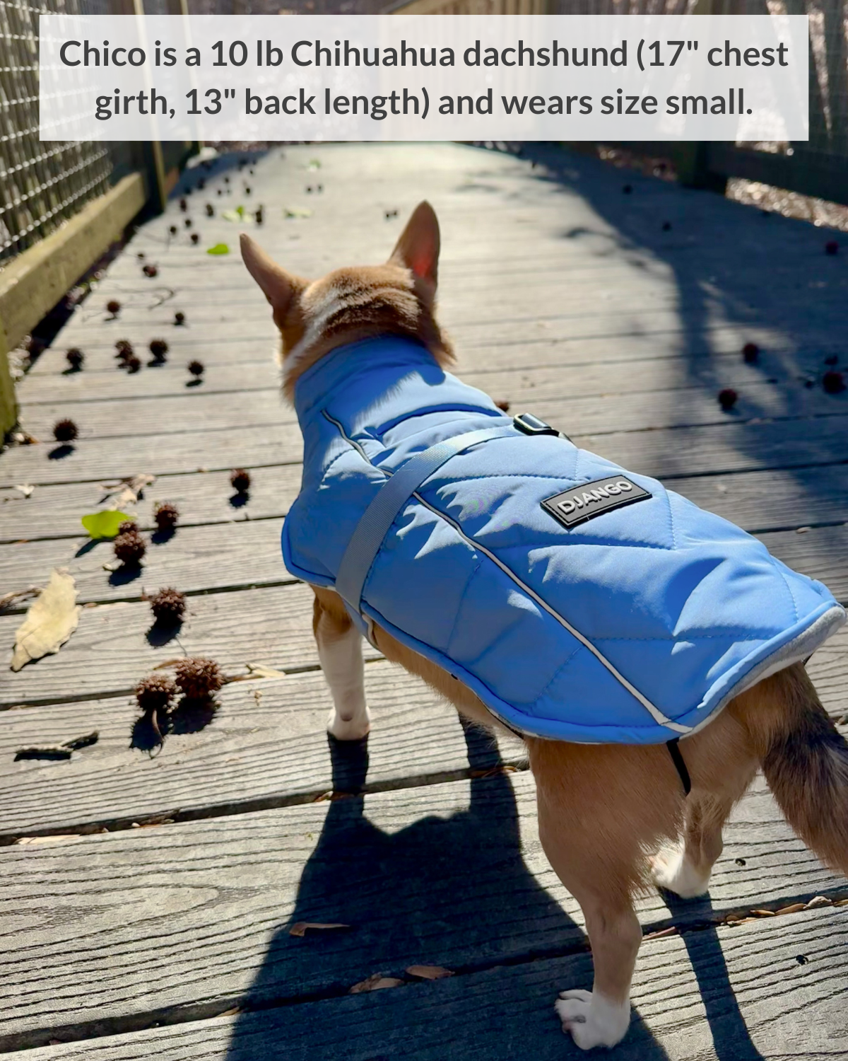 Whistler Winter Dog Coat - Dusk Blue