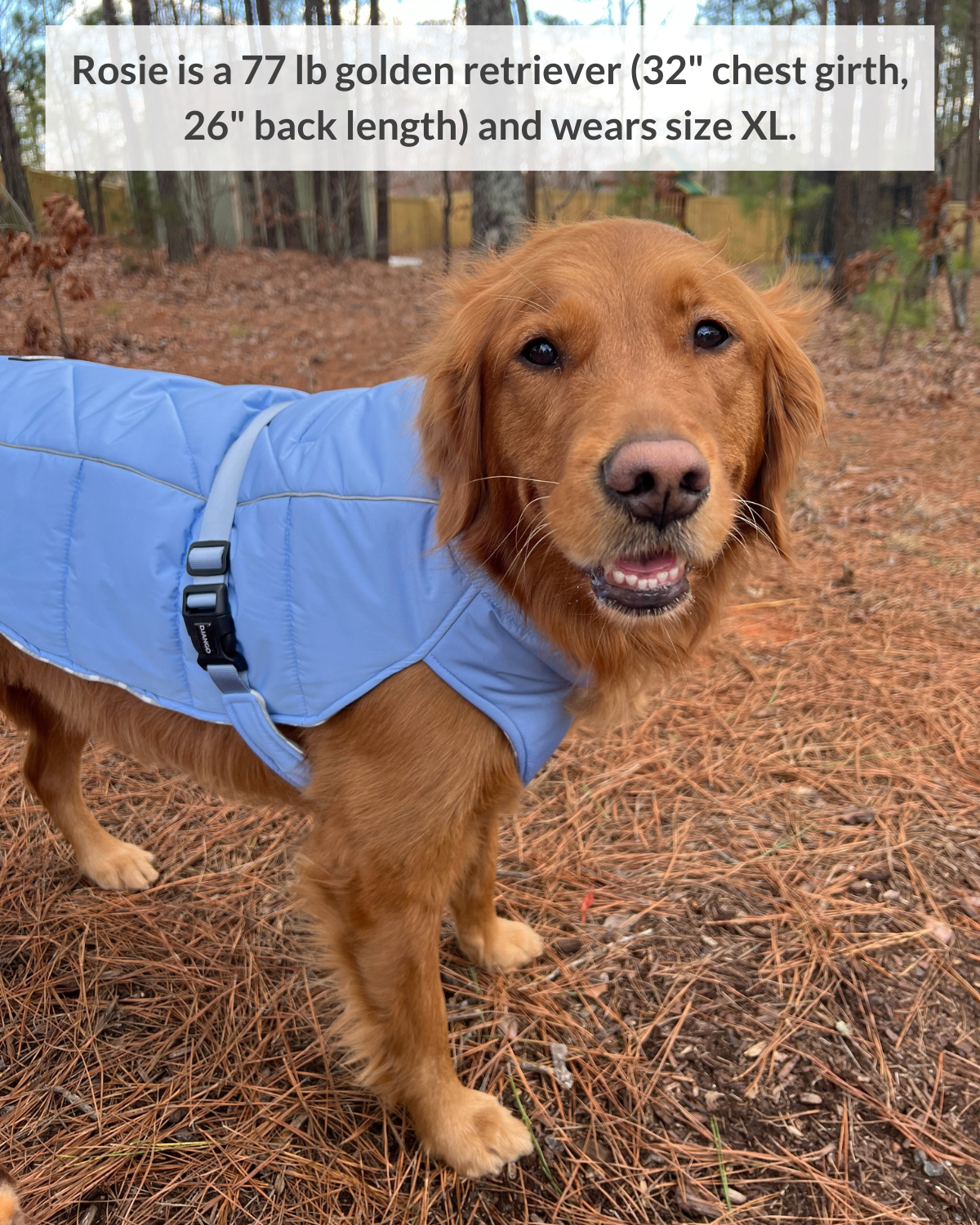 Whistler Winter Dog Coat - Dusk Blue