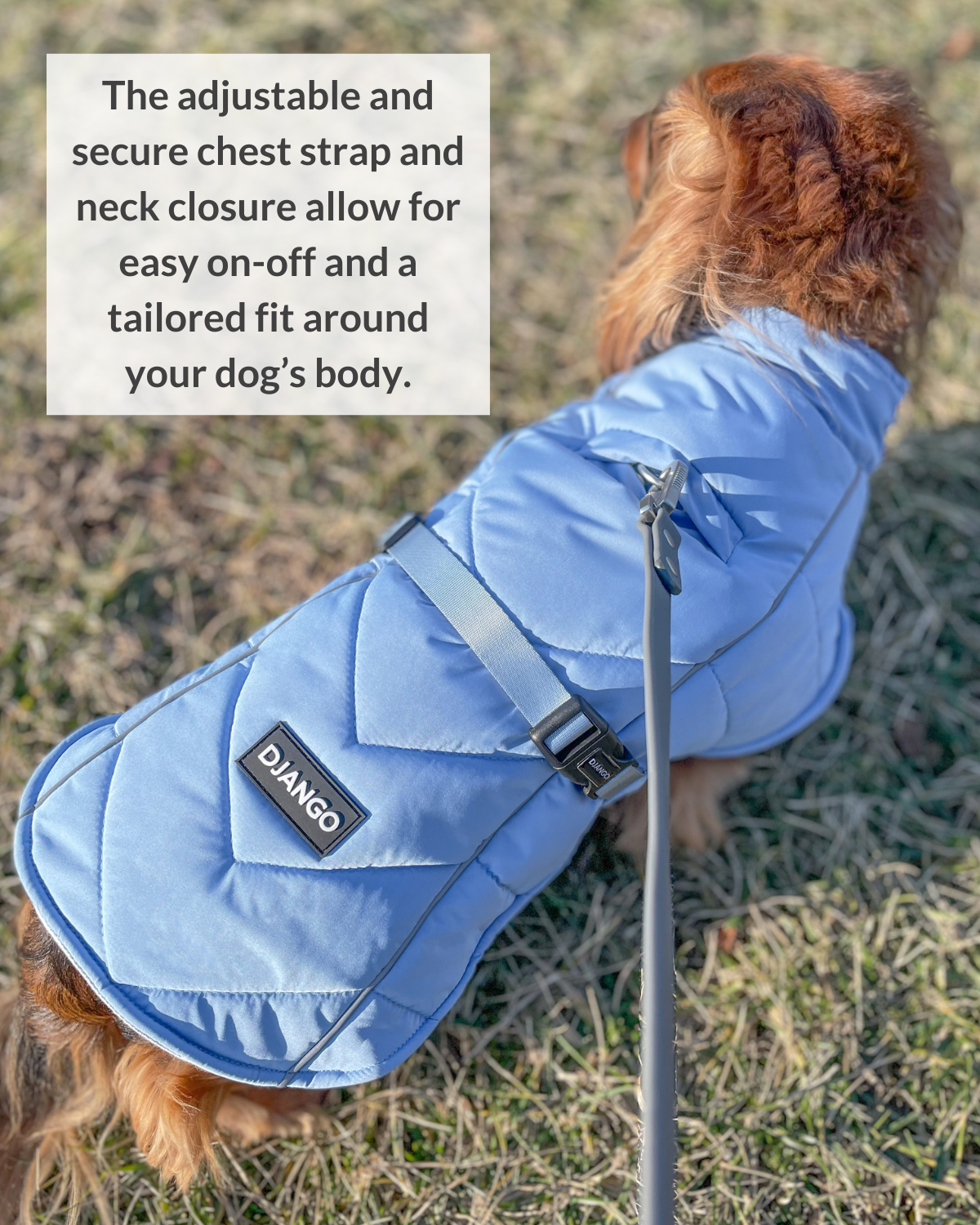 This adjustable puffer coat for dogs features a secure chest strap and adjustable velcro for easy on and off. The adjustable dog coat chest strap allows the whistler winter dog coat to be tailored to your dog’s body. - djangobrand.com